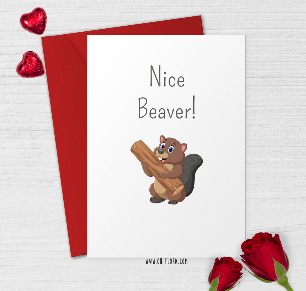 Nice Beaver